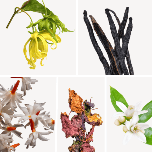 Duftnoten: Yang-Ylang, Vanille, Jasmin, Patschuli, Orangenblüte